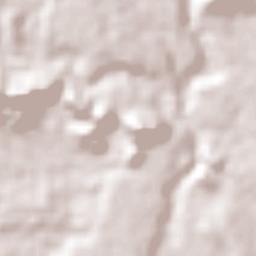 Nuevo San Carlitos Terrain Map