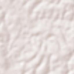 Neyyattinkara Terrain Map