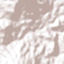 El Peñón Terrain Map