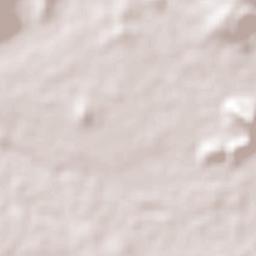 El Cortezo Terrain Map