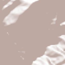 Municipio Libertador Terrain Map