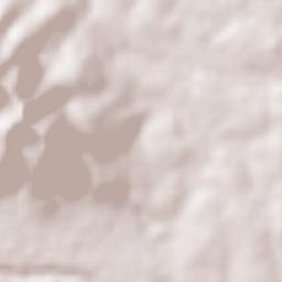 Waterloo Terrain Map