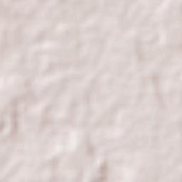 San Lorenzo Terrain Map