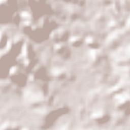 Distrito de San Francisco Terrain Map