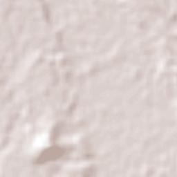 Remedios Terrain Map