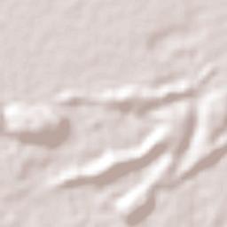 Mabaruma Terrain Map