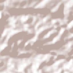 El Rincón Terrain Map