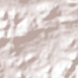 Rodeo Viejo Terrain Map