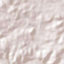 San Pedro del Espino Terrain Map