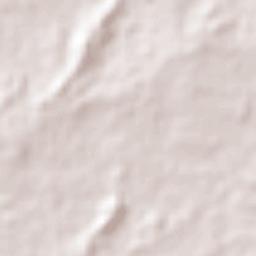 El Espino de Santa Rosa Terrain Map