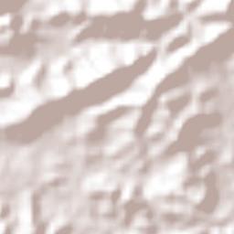 Puerto Vidal Terrain Map