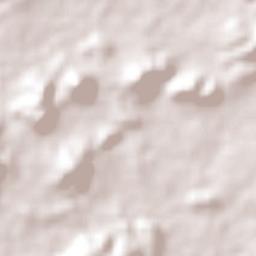 Los Castillos Terrain Map