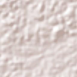 Municipio Padre Pedro Chien Terrain Map