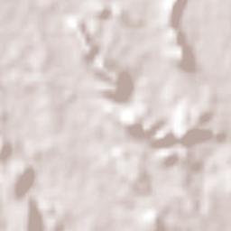 Llano Grande Terrain Map