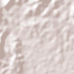 El Pájaro Terrain Map