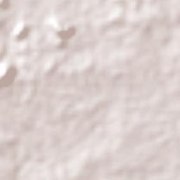 La Arena Terrain Map