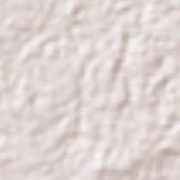 Bayamón Terrain Map