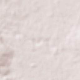 San Carlos Terrain Map