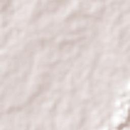 Los Olivos Terrain Map