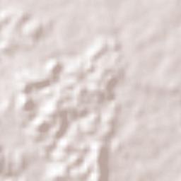 El Ejido Terrain Map