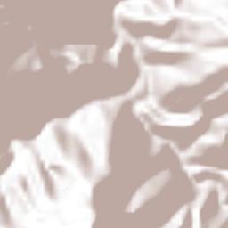 Villa Caro Terrain Map