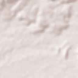 Salvador Terrain Map