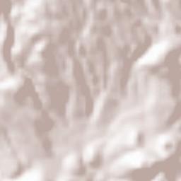 La Roxas Terrain Map