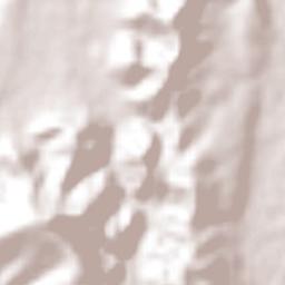 Los Patios Terrain Map