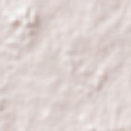 El Manantial Terrain Map