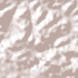 Los Cerros de Paja Terrain Map