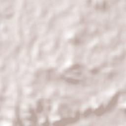 El Cocal Terrain Map