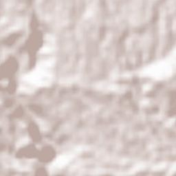 Pagayawan Terrain Map