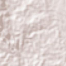 Concepcion Terrain Map