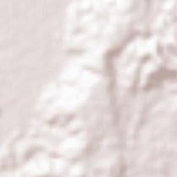 La Dicha Terrain Map