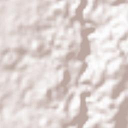 San Vicente Terrain Map