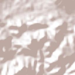 Vallerriquito Terrain Map