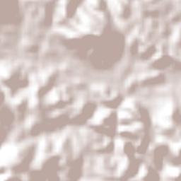 Bajo Corral Terrain Map