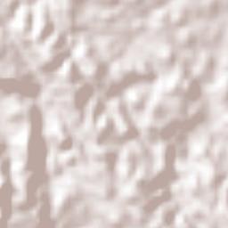 El Cañafístulo Terrain Map