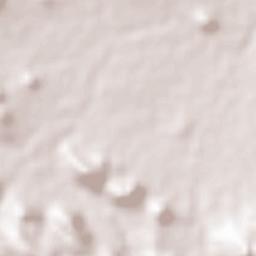 Ogaminana Terrain Map