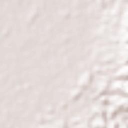 Del Pilar Terrain Map