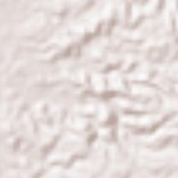 New Bohol Terrain Map