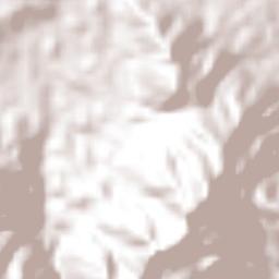 La Tronosa Terrain Map