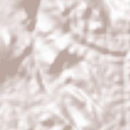 Thumpane Terrain Map