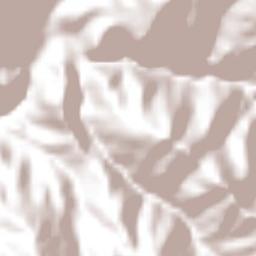 California Terrain Map