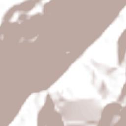 Valdivia Terrain Map