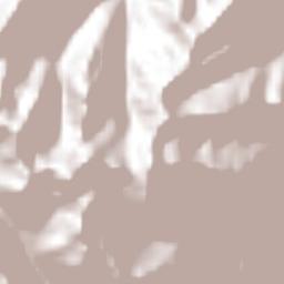 Mutiscua Terrain Map