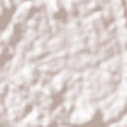 Udunuwara Terrain Map