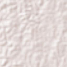 Pagangan Terrain Map