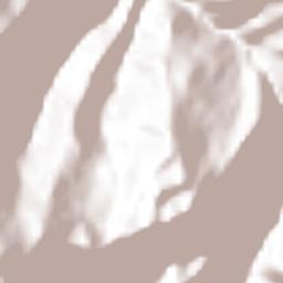 Briceño Terrain Map