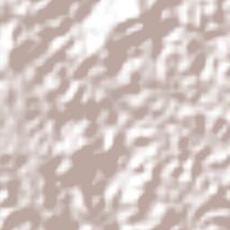 Remedios Terrain Map